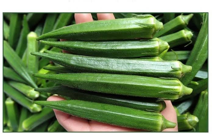 Fresh Okra