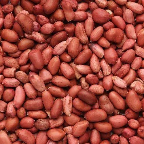 Groundnut