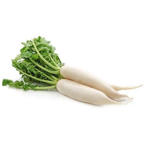 Radish