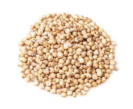 Soya Beans