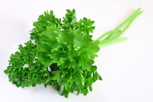 Parsley