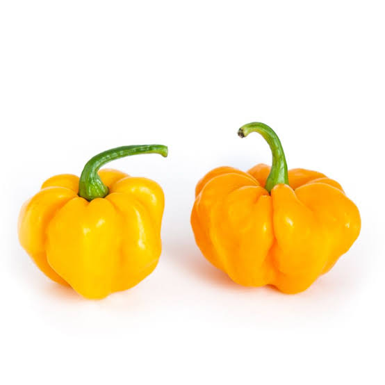 Scotch Bonnet